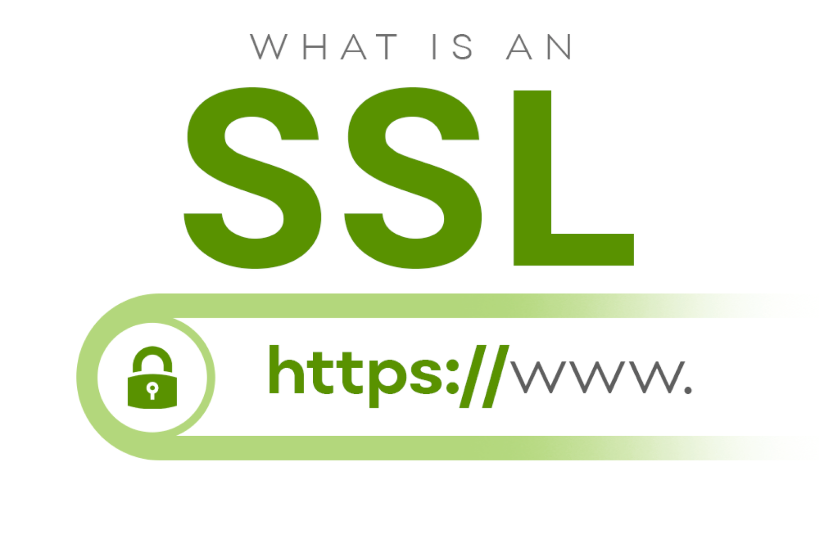 SSL Certificates