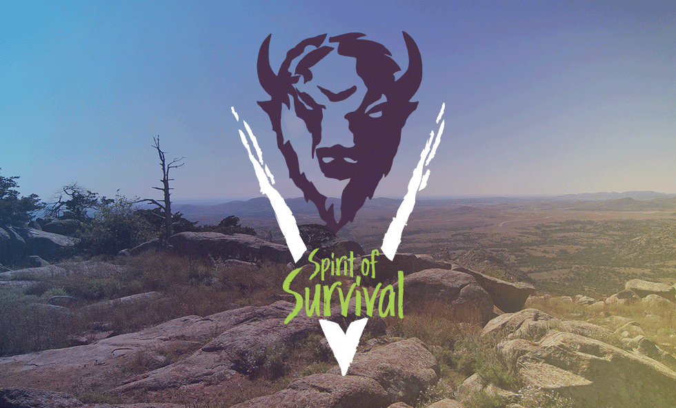 Light Alive Showcase: Spirit of Survival